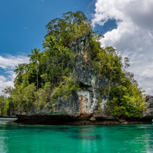 Tall rocky islet with jungle crown over turquoise water and cumulus, Waigeo, Raja Ampat, Indonesia