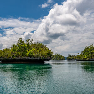 Two low undercut islets under towering white clouds, Waigeo, Raja Ampat, Indonesia