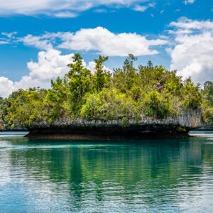 Wide undercut islet with lush vegetation and reflection, blue sky, Waigeo, Raja Ampat, Indonesia