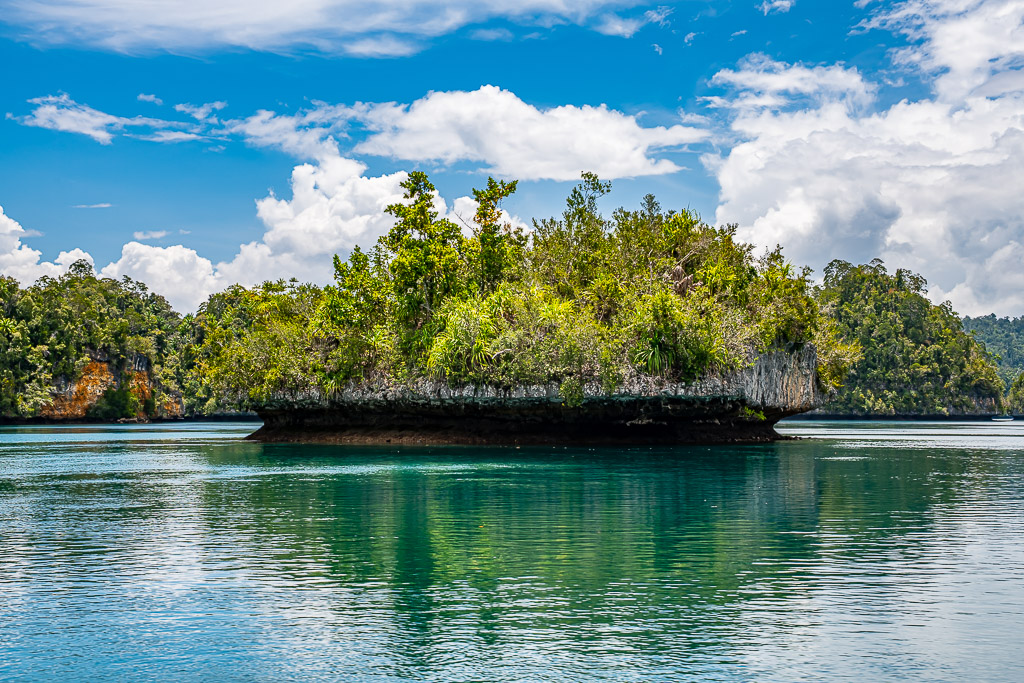 Wide undercut islet with lush vegetation and reflection, blue sky, Waigeo, Raja Ampat, Indonesia