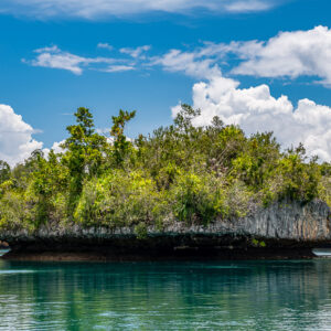 Long limestone islet with undercut base in turquoise water, close view, Waigeo, Raja Ampat, Indonesia