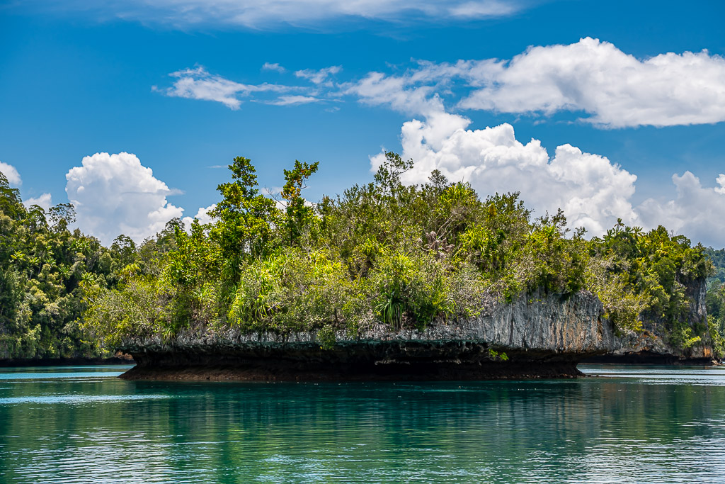 Long limestone islet with undercut base in turquoise water, close view, Waigeo, Raja Ampat, Indonesia