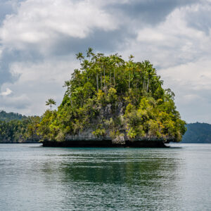 Single rounded islet with palm trees centred on calm grey water, Waigeo, Raja Ampat, Indonesia