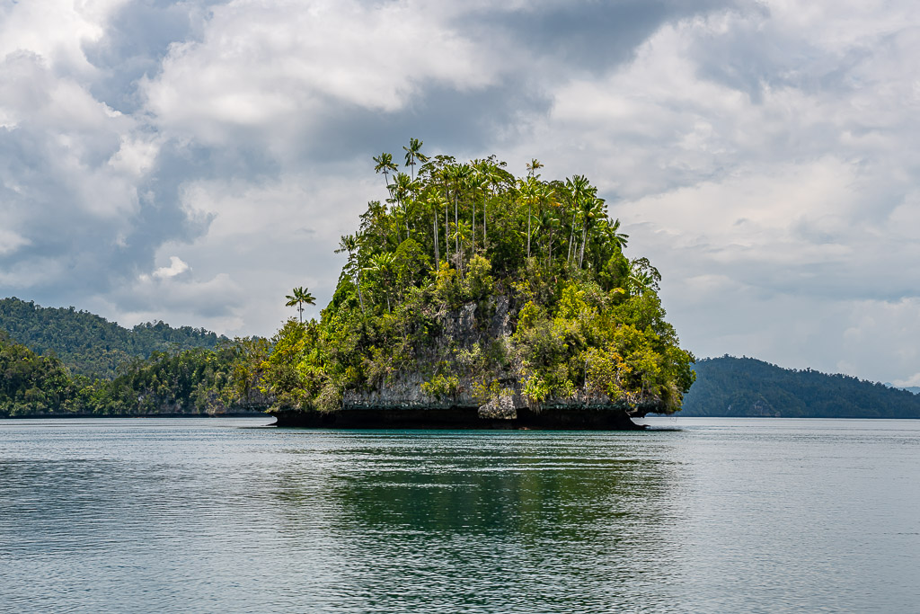 Single rounded islet with palm trees centred on calm grey water, Waigeo, Raja Ampat, Indonesia