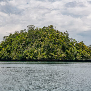 Dome-shaped forested island on still water under overcast sky, Waigeo, Raja Ampat, Indonesia