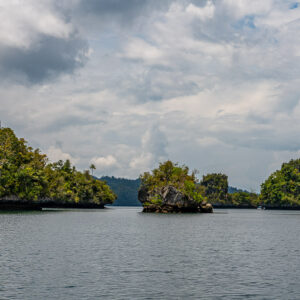 Forested islets and rock pinnacles in a broad calm bay, Waigeo, Raja Ampat, Indonesia
