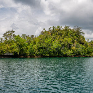 Wooded islet with a small stilt hut on its shore, green water, Waigeo, Raja Ampat, Indonesia
