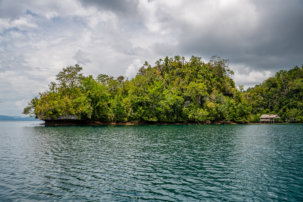 Wooded islet with a small stilt hut on its shore, green water, Waigeo, Raja Ampat, Indonesia