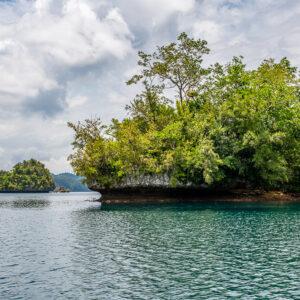 Lush islet with tall trees and a small islet behind, turquoise water, Waigeo, Raja Ampat, Indonesia