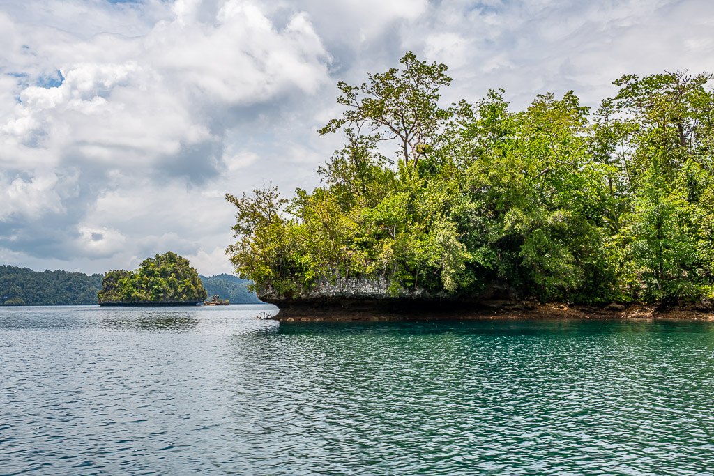 Lush islet with tall trees and a small islet behind, turquoise water, Waigeo, Raja Ampat, Indonesia