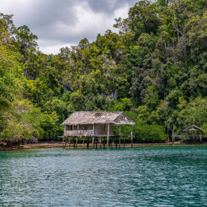 Thatched stilt hut on the shore of a jungle-covered island, Waigeo, Raja Ampat, Indonesia