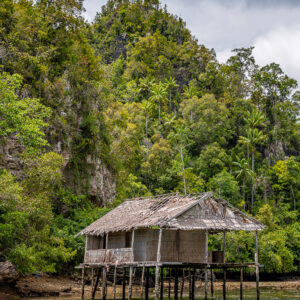 Stilt hut at the foot of a jungle hill, tighter vertical framing, Waigeo, Raja Ampat, Indonesia