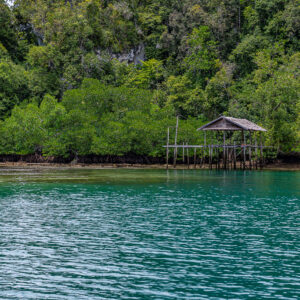 Small stilt shelter and jetty before mangrove and forest, Waigeo, Raja Ampat, Indonesia