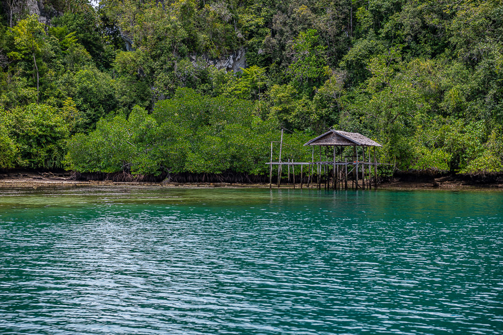 Small stilt shelter and jetty before mangrove and forest, Waigeo, Raja Ampat, Indonesia
