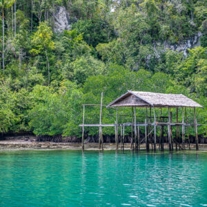Abri ouvert sur plateforme de bois sur pilotis devant la mangrove, Waigeo, Raja Ampat, Indonésie