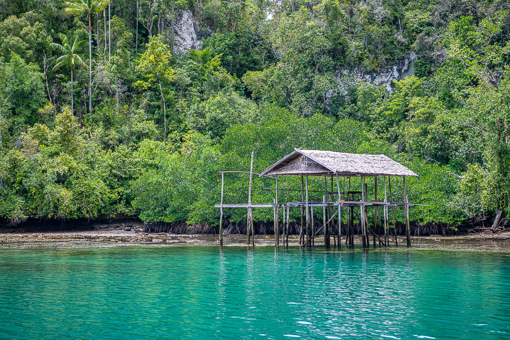 Abri ouvert sur plateforme de bois sur pilotis devant la mangrove, Waigeo, Raja Ampat, Indonésie