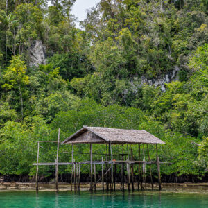 Abri sur pilotis devant la mangrove et la forêt tropicale, vertical, Waigeo, Raja Ampat, Indonésie