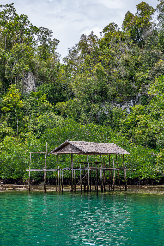 Abri sur pilotis devant la mangrove et la forêt tropicale, vertical, Waigeo, Raja Ampat, Indonésie