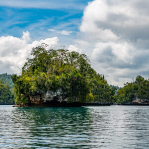 Forested rock islet in a lagoon under bright cumulus clouds, Waigeo, Raja Ampat, Indonesia