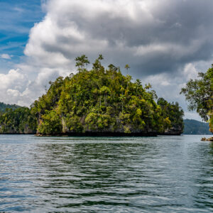 Rounded jungle islet framed between forested cliffs, Waigeo, Raja Ampat, Indonesia