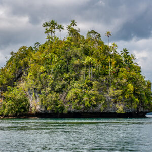 Dome islet crowned with palm trees under a stormy sky, Waigeo, Raja Ampat, Indonesia