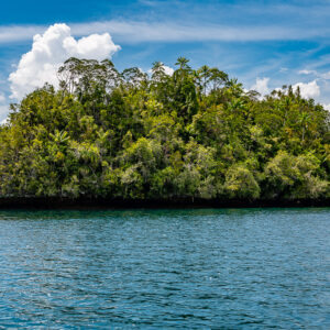 Long jungle-covered island on blue water under a bright sky, Waigeo, Raja Ampat, Indonesia