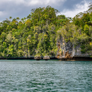 Forested limestone island with eroded cliff under cloudy sky, Waigeo, Raja Ampat, Indonesia