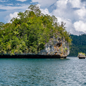 Undercut forested islet beside a tiny mushroom rock, cumulus sky, Waigeo, Raja Ampat, Indonesia