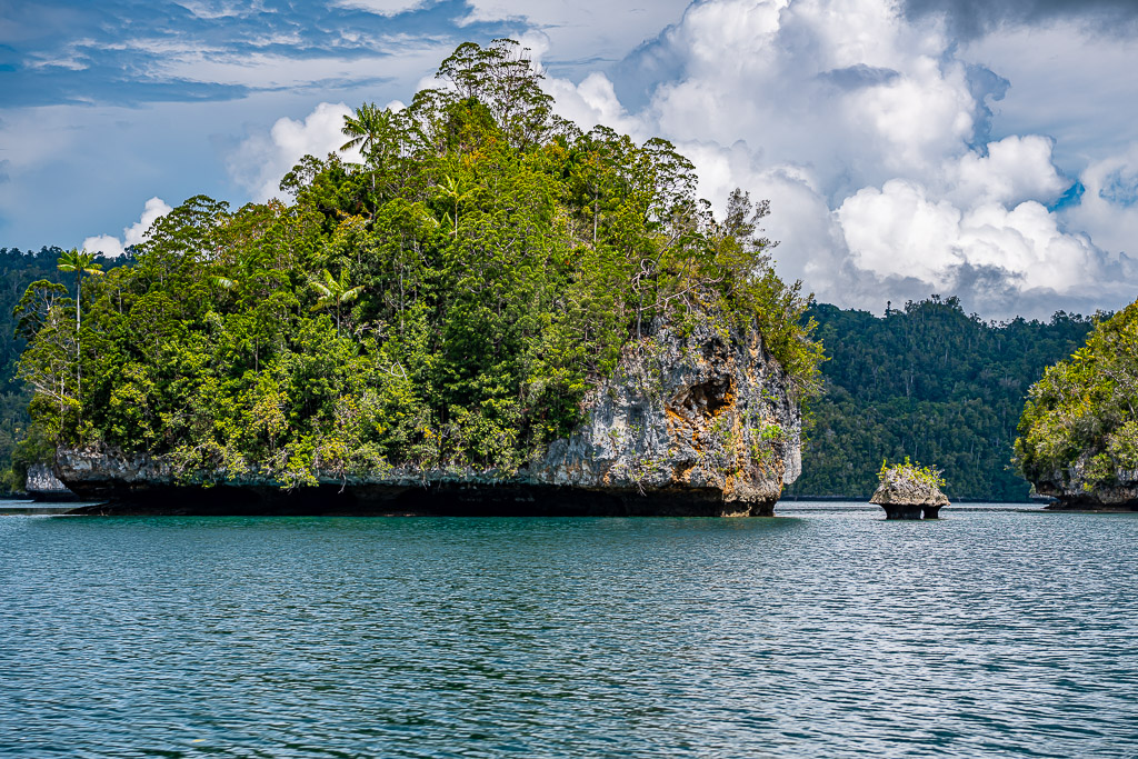 Undercut forested islet beside a tiny mushroom rock, cumulus sky, Waigeo, Raja Ampat, Indonesia