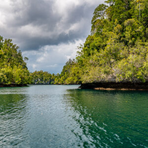 Narrow green channel between steep forested islands, Waigeo, Raja Ampat, Indonesia