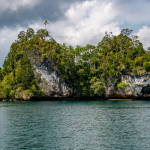 Jungle-covered karst islet with white undercut cliffs in green lagoon, Waigeo, Raja Ampat, Indonesia