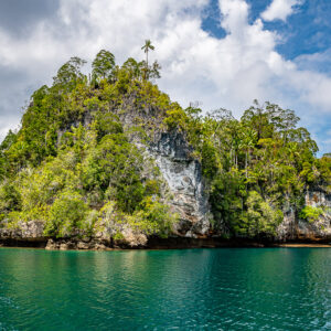 Tall rounded karst island with palm tree on summit and turquoise water, Waigeo, Raja Ampat, Indonesia