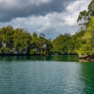 Karst shoreline with undercut cliffs and overhanging trees under cloudy sky, Waigeo, Raja Ampat, Indonesia