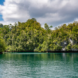 Vue large d’une côte calcaire boisée au-dessus d’une eau émeraude ridée, Waigeo, Raja Ampat, Indonésie