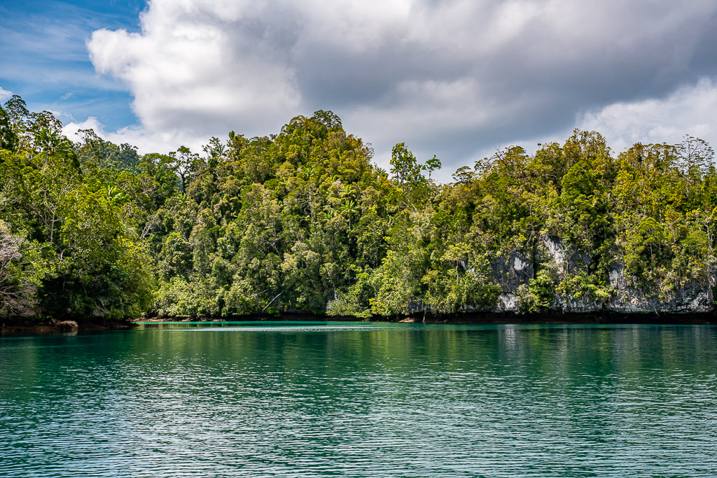 Vue large d’une côte calcaire boisée au-dessus d’une eau émeraude ridée, Waigeo, Raja Ampat, Indonésie
