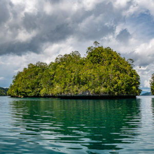 Rounded green islet between cliffs under heavy grey clouds, Waigeo, Raja Ampat, Indonesia