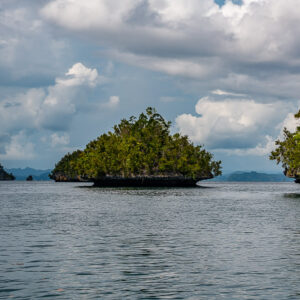 Mushroom-shaped islet and headland on grey sea under cumulus clouds, Waigeo, Raja Ampat, Indonesia