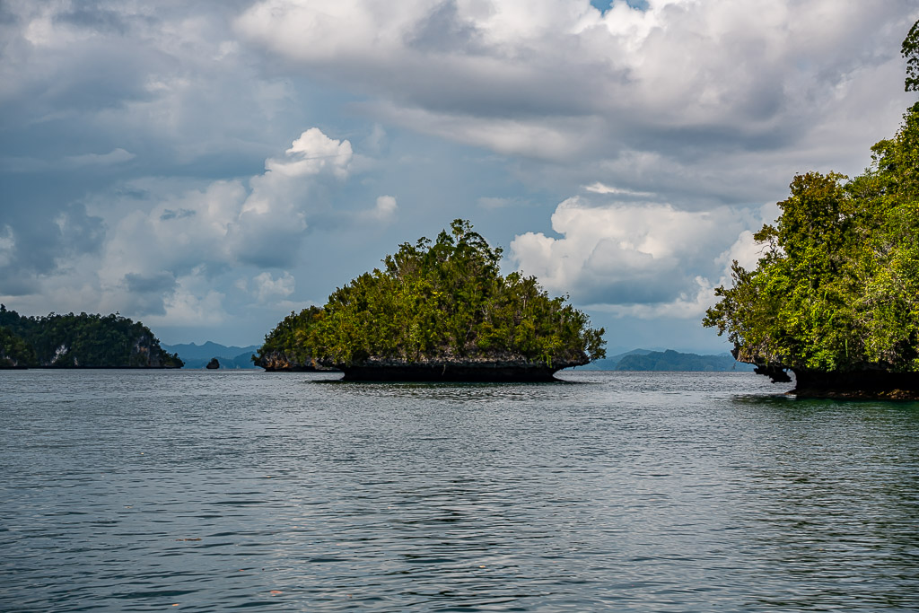 Mushroom-shaped islet and headland on grey sea under cumulus clouds, Waigeo, Raja Ampat, Indonesia