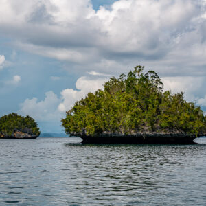 Two mushroom-shaped islets, one small and one large, on calm grey sea, Waigeo, Raja Ampat, Indonesia