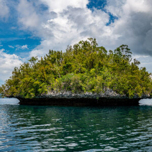 Lone undercut islet with dense vegetation and reflection under cloudy sky, Waigeo, Raja Ampat, Indonesia