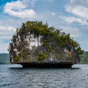 Mushroom-shaped limestone islet with bare grey cliffs, close view, Waigeo, Raja Ampat, Indonesia