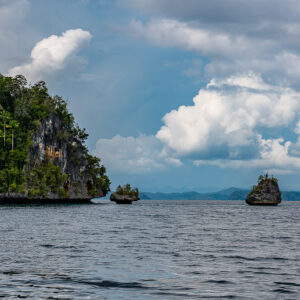Forested cliff with two small rock stacks out at sea, Waigeo, Raja Ampat, Indonesia