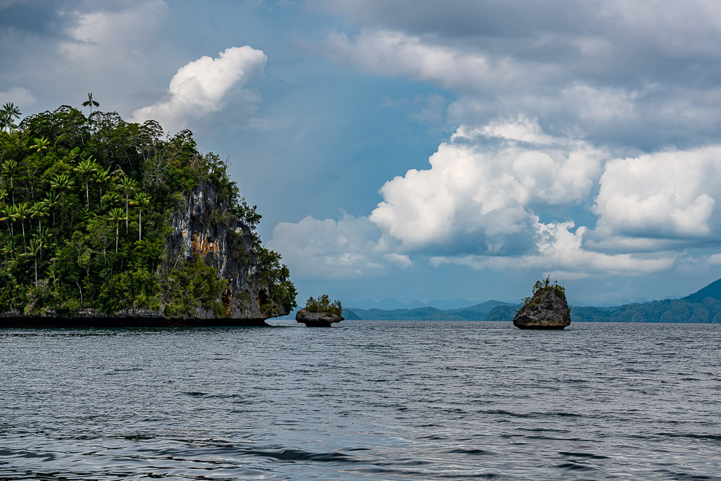 Forested cliff with two small rock stacks out at sea, Waigeo, Raja Ampat, Indonesia