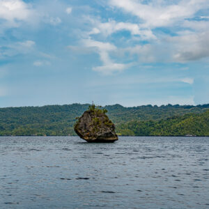 Single small rock pinnacle in front of a long forested island, Waigeo, Raja Ampat, Indonesia