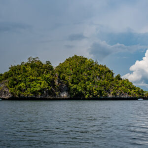 Green karst islet under dark rain clouds and bright cumulus, Waigeo, Raja Ampat, Indonesia