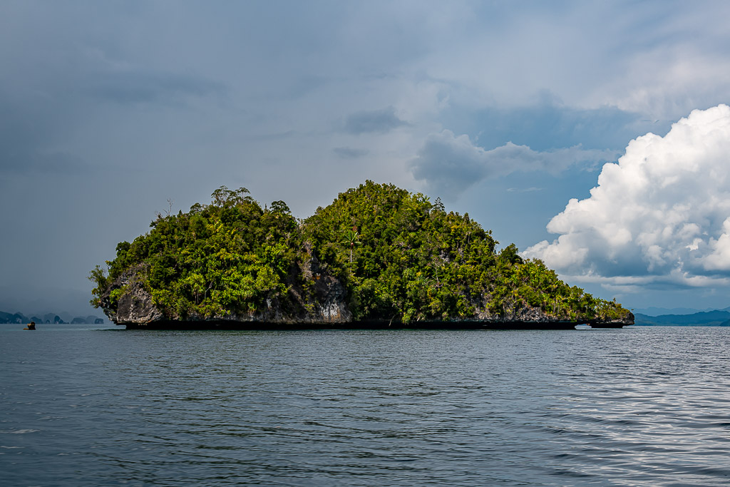 Green karst islet under dark rain clouds and bright cumulus, Waigeo, Raja Ampat, Indonesia