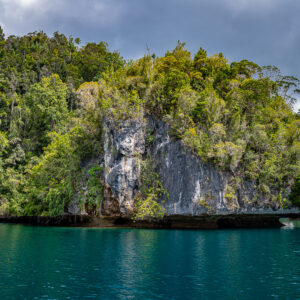 Grey limestone cliff face covered in lush forest, close view, Waigeo, Raja Ampat, Indonesia