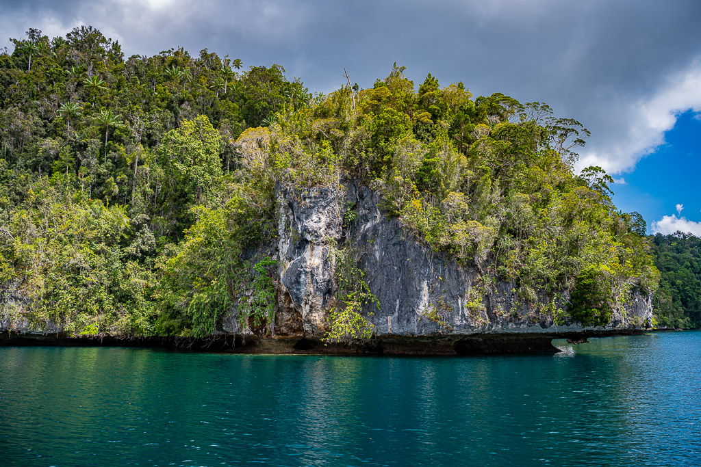Grey limestone cliff face covered in lush forest, close view, Waigeo, Raja Ampat, Indonesia