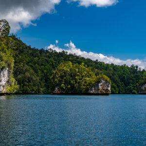 Forested coastline with white cliffs and small islets under deep blue sky, Waigeo, Raja Ampat, Indonesia