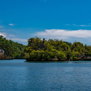 Low jungle islet in front of a forested coast under blue sky, Waigeo, Raja Ampat, Indonesia